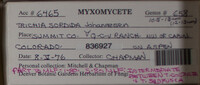 Image Associated With the Occurence